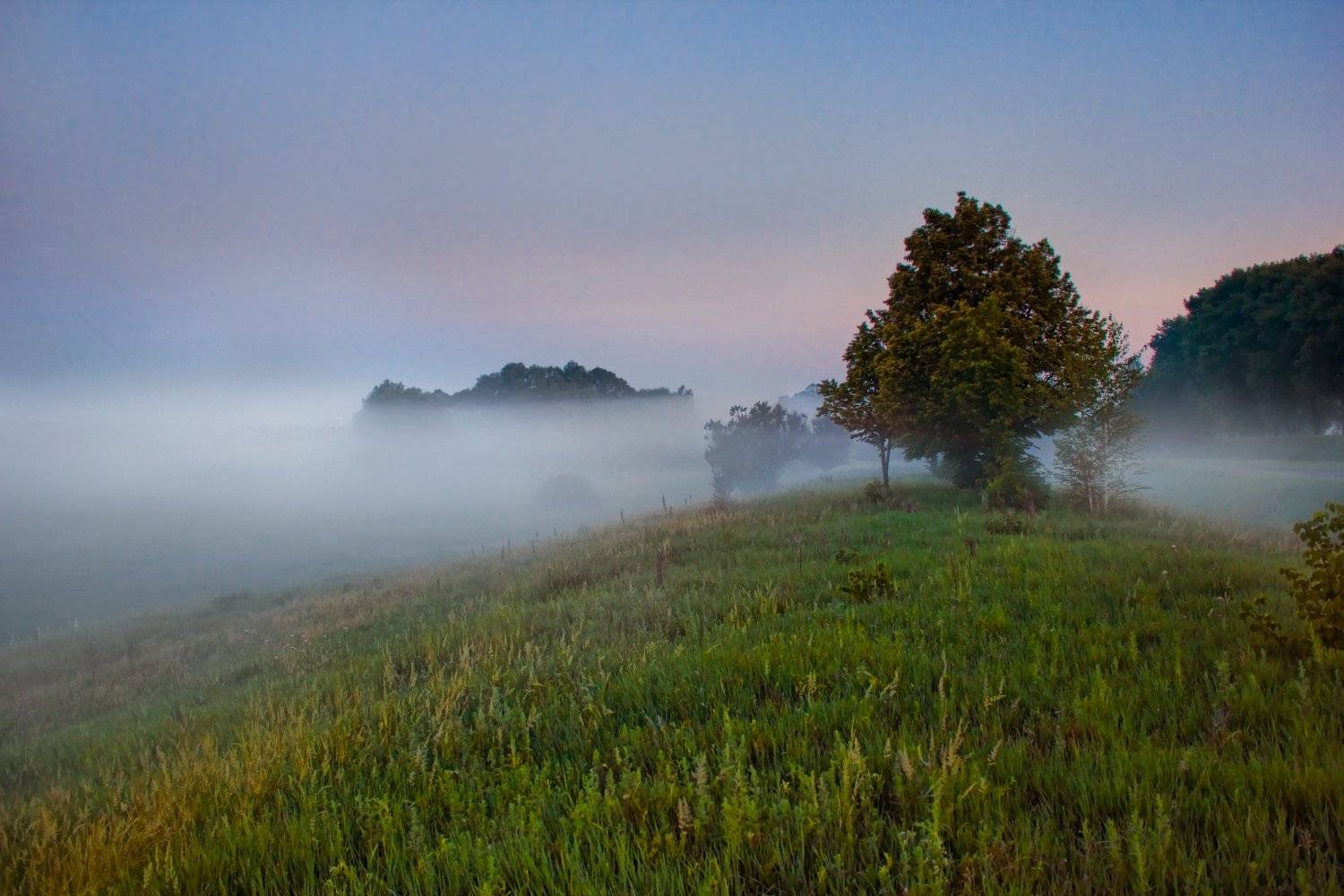 , Александр Индыло