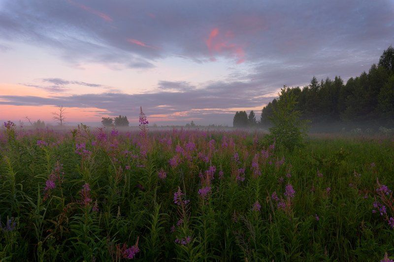 * фото превью