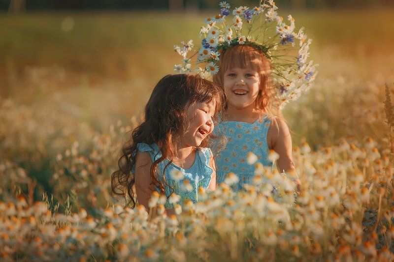 Ромашки фото превью