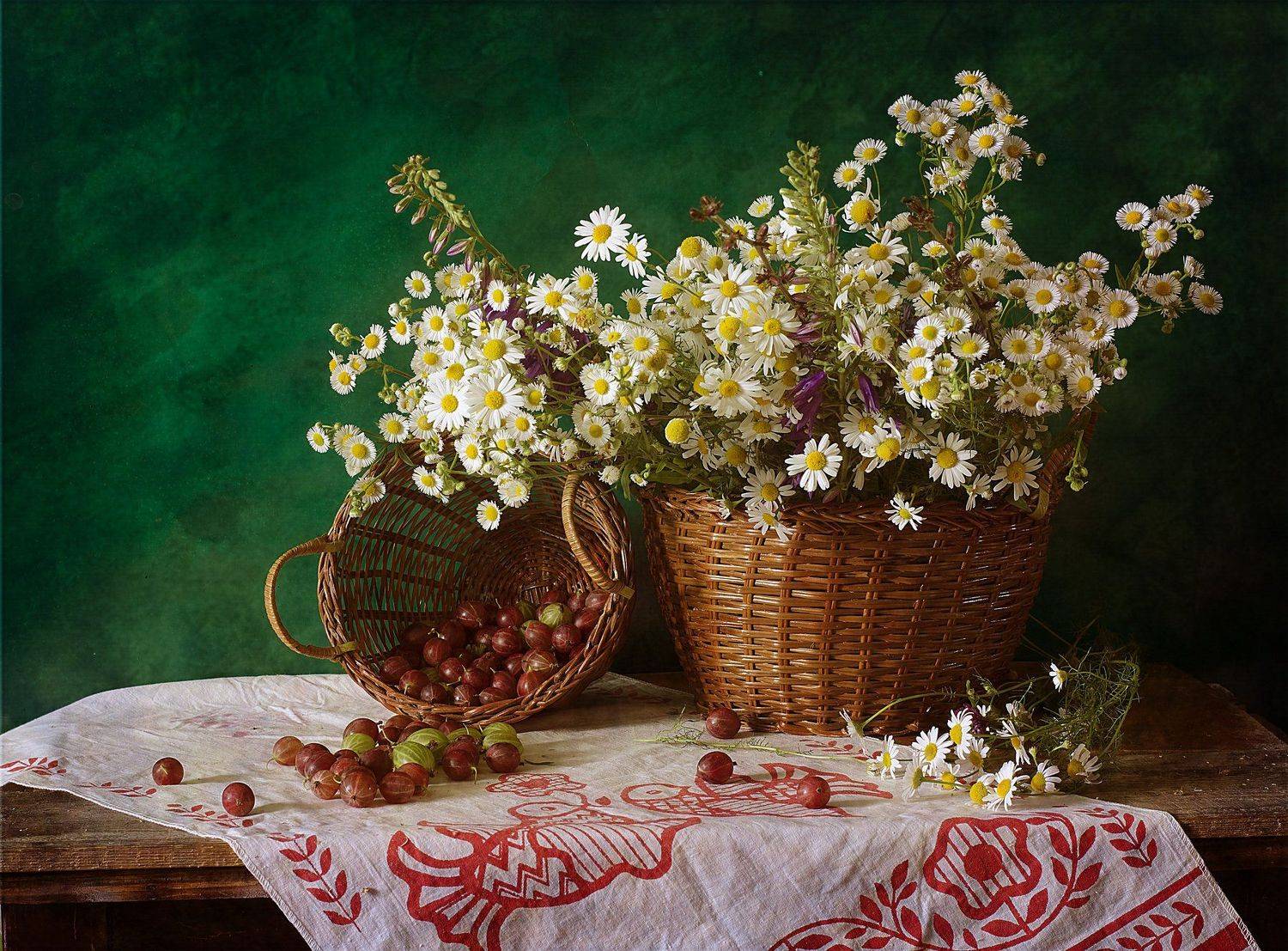 , Синегубова Ольга