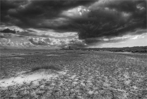 [skagen]