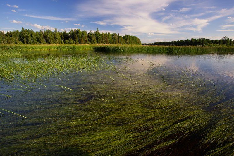 ******** фото превью