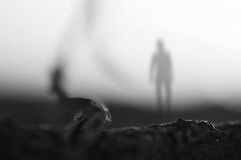 Untitled фото превью