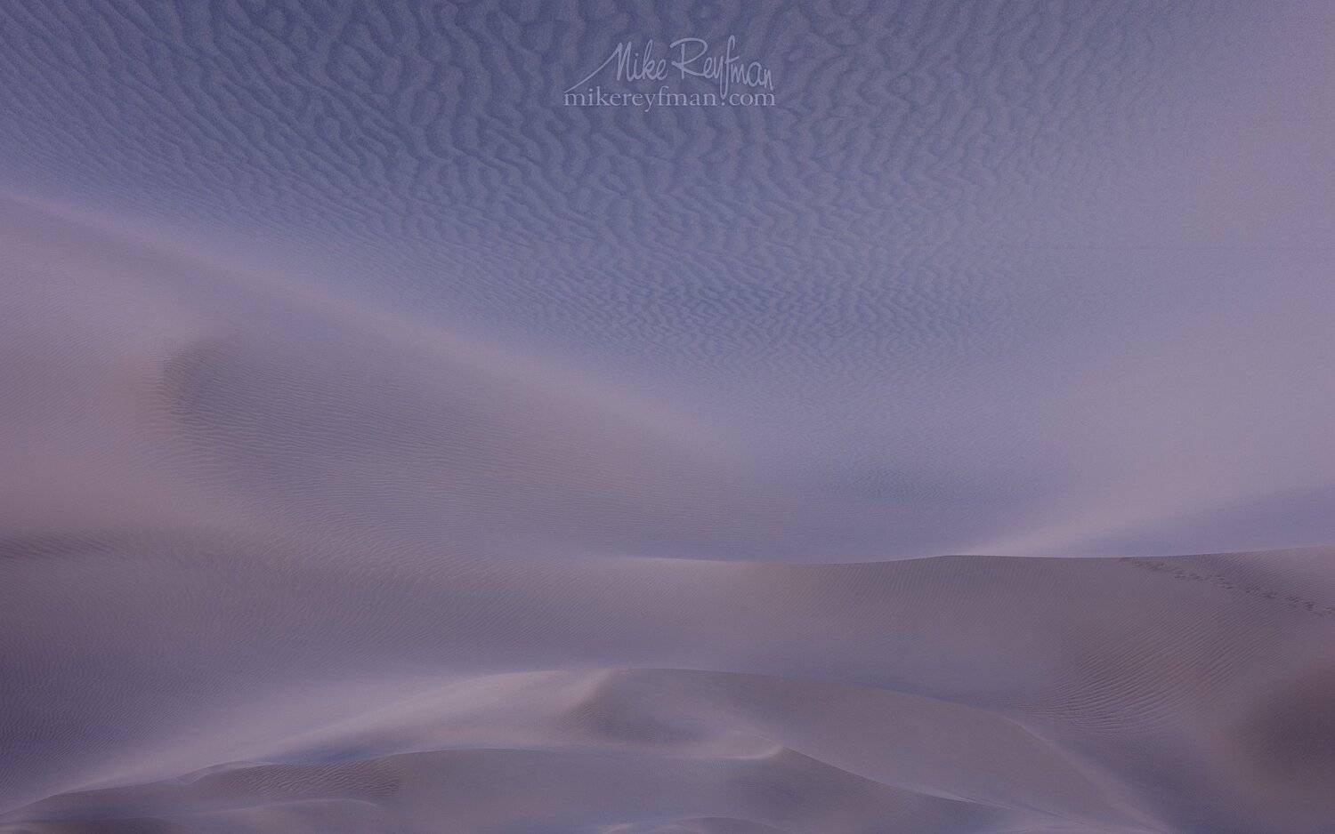 , Майк Рейфман