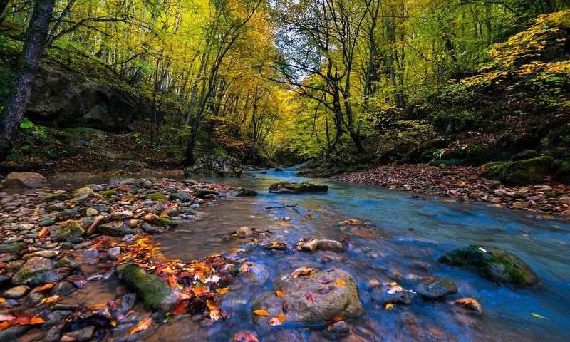 Мезмайка осенняя фото превью