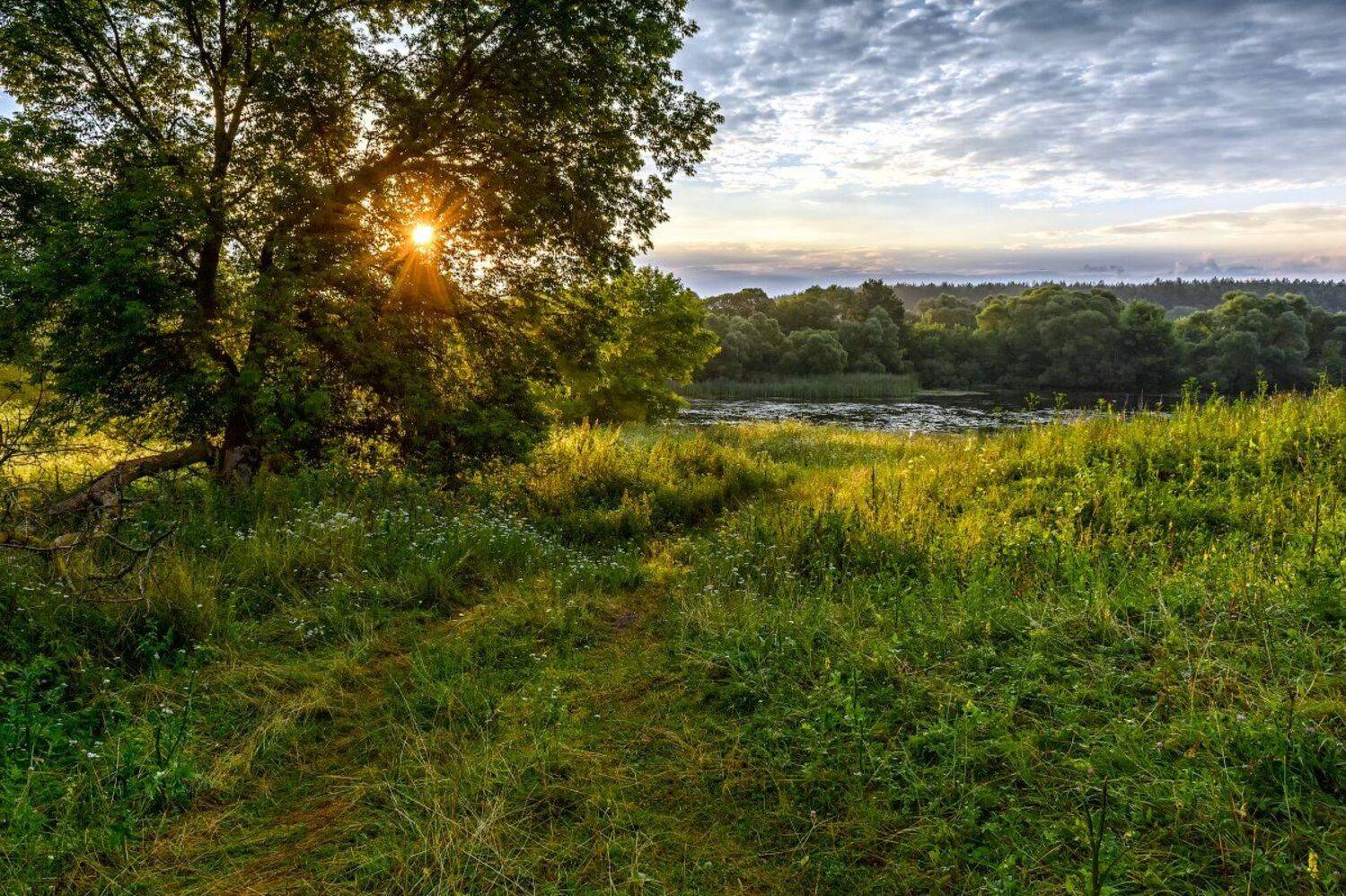 Берег, Дорога, Лес, Лето, Небо, Облака, Пейзаж, Природа, Рассвет, Река, Россия, Утро, Юлия Лаптева