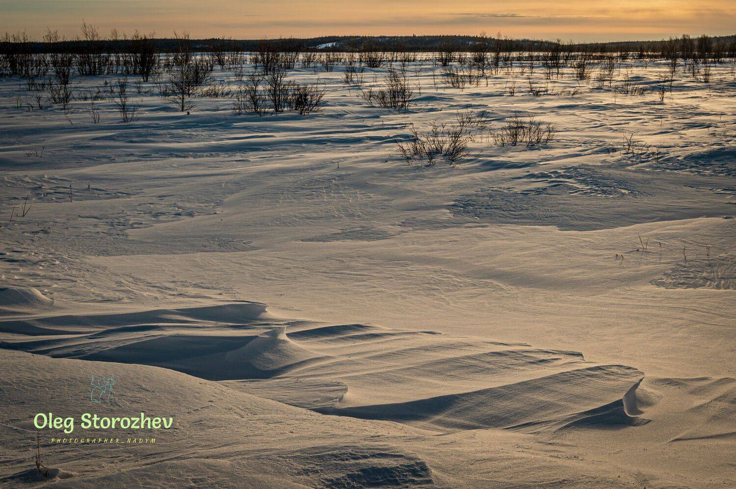 тундра, весна, снег, надым, ямал, янао, Сторожев Олег
