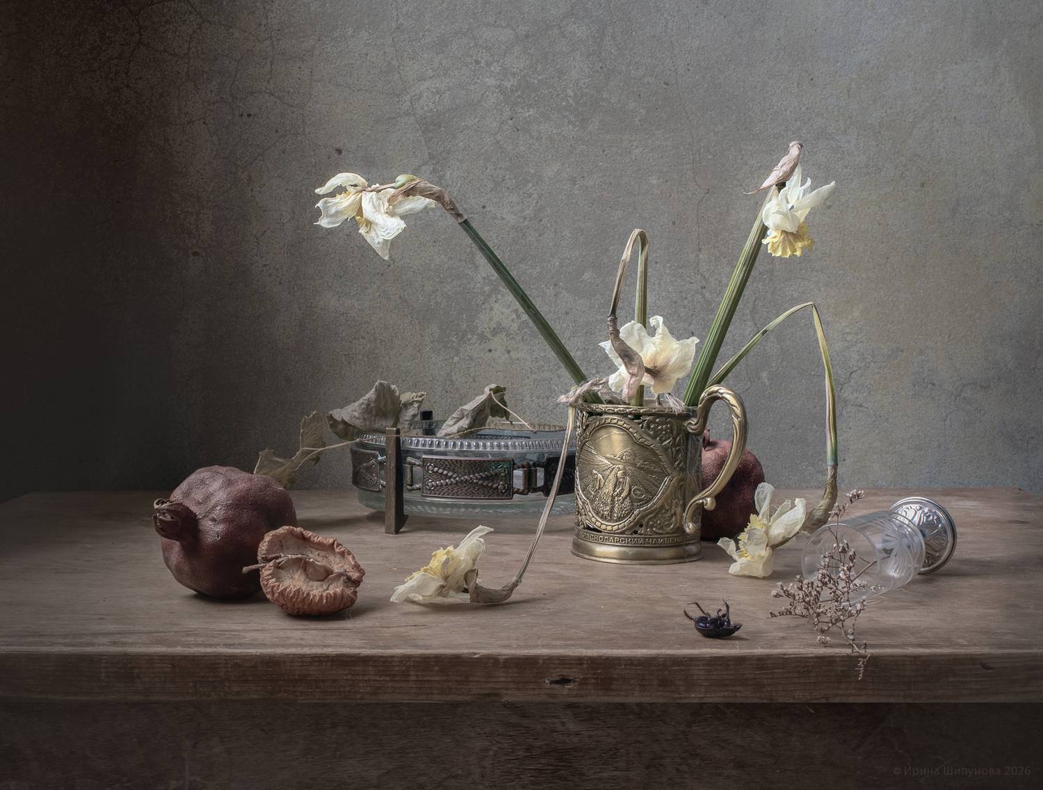 , Шипунова Ирина