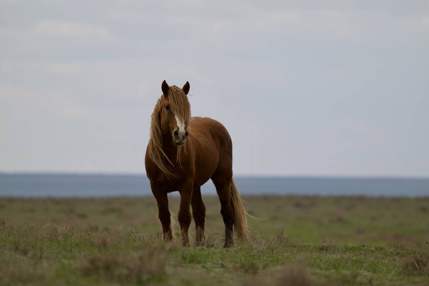 , Геннадий Кравченко