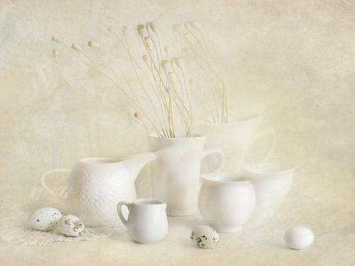 Белый натюрморт