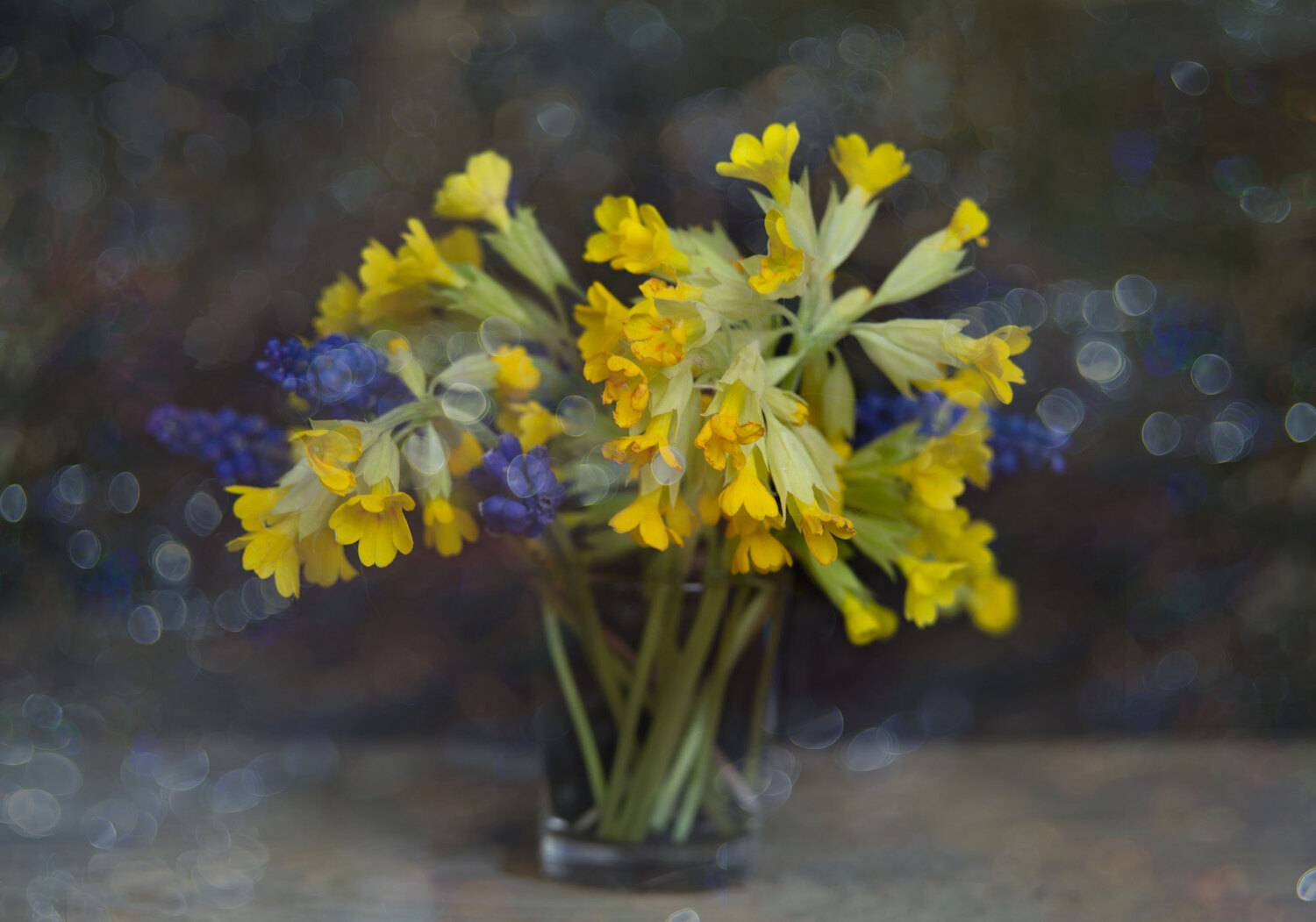 букет, цветы, весна, гелиос, Елена Брежицкая