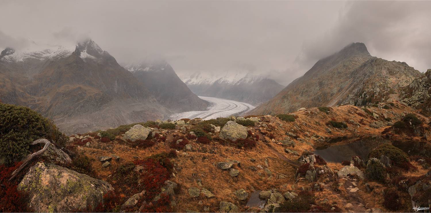 swiss, Матвеев Николай