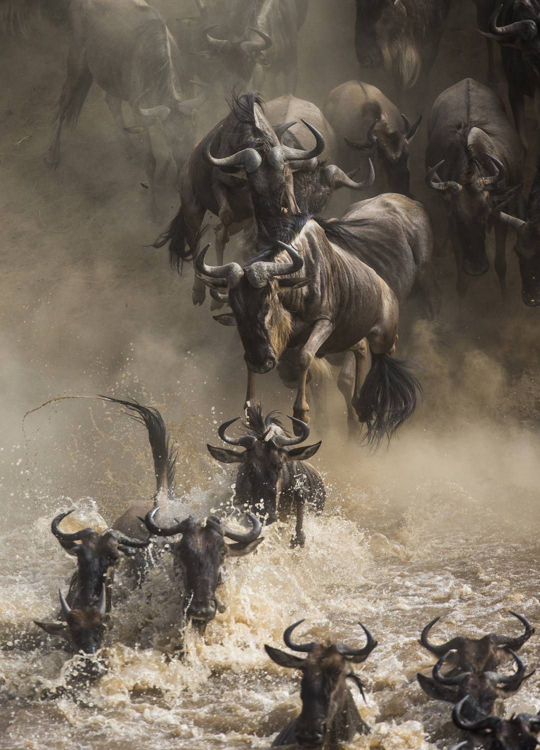 , Гудков Андрей