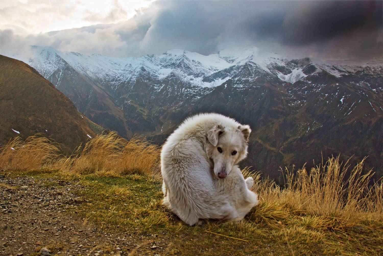 , Мурзинов Виктор