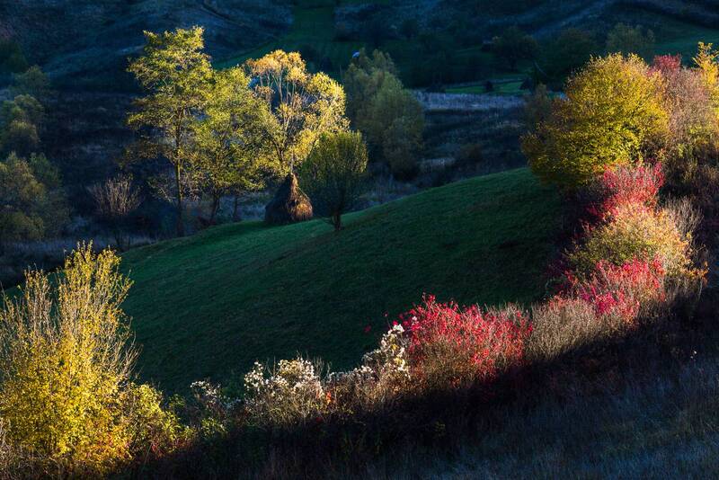 В вечернем свете фото превью