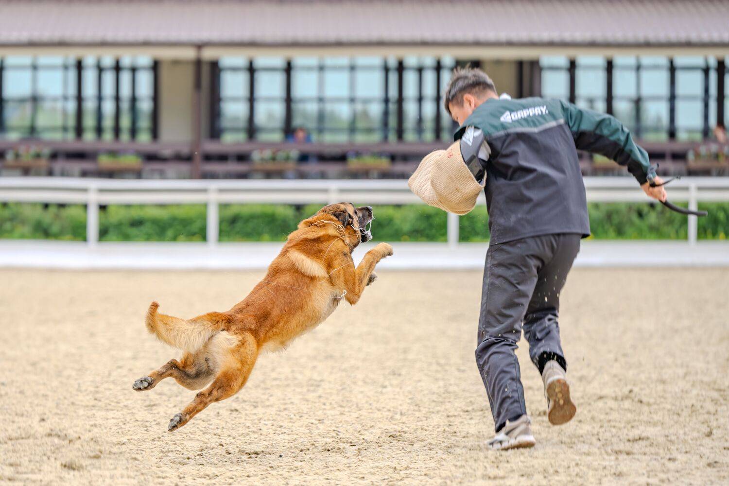 , Сергей Жиркевич