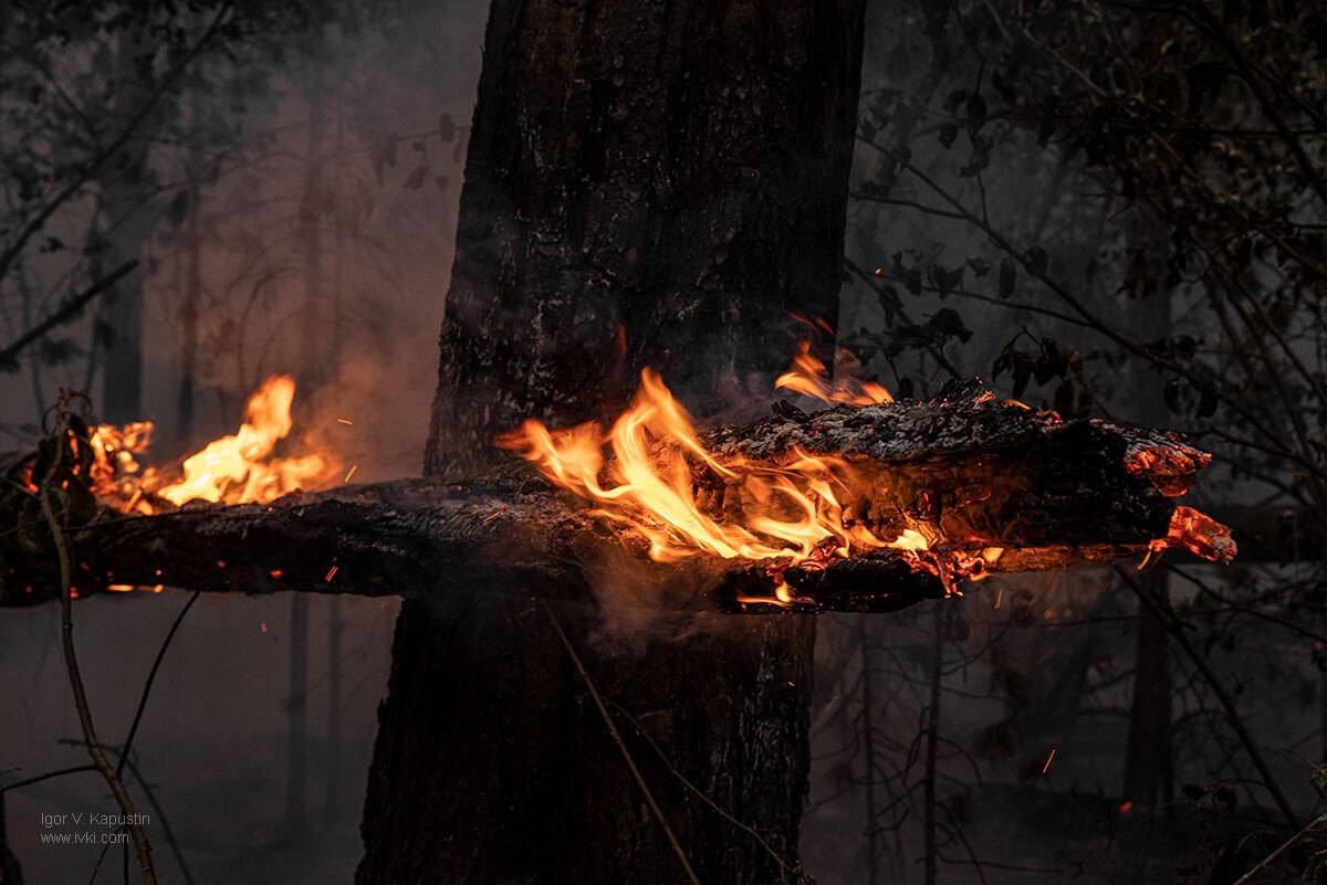 , Капустин Игорь