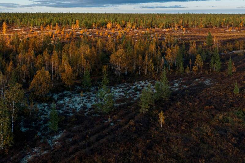 тундра, осень, болото, пейзаж, живем на свере, крайний север, ямал, природа, путешествие, янао, надым Осень фото превью