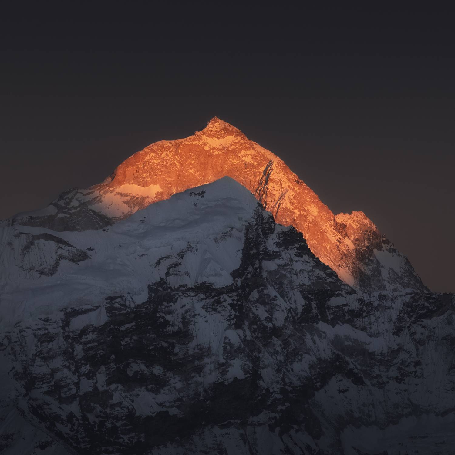 , Политова Анна