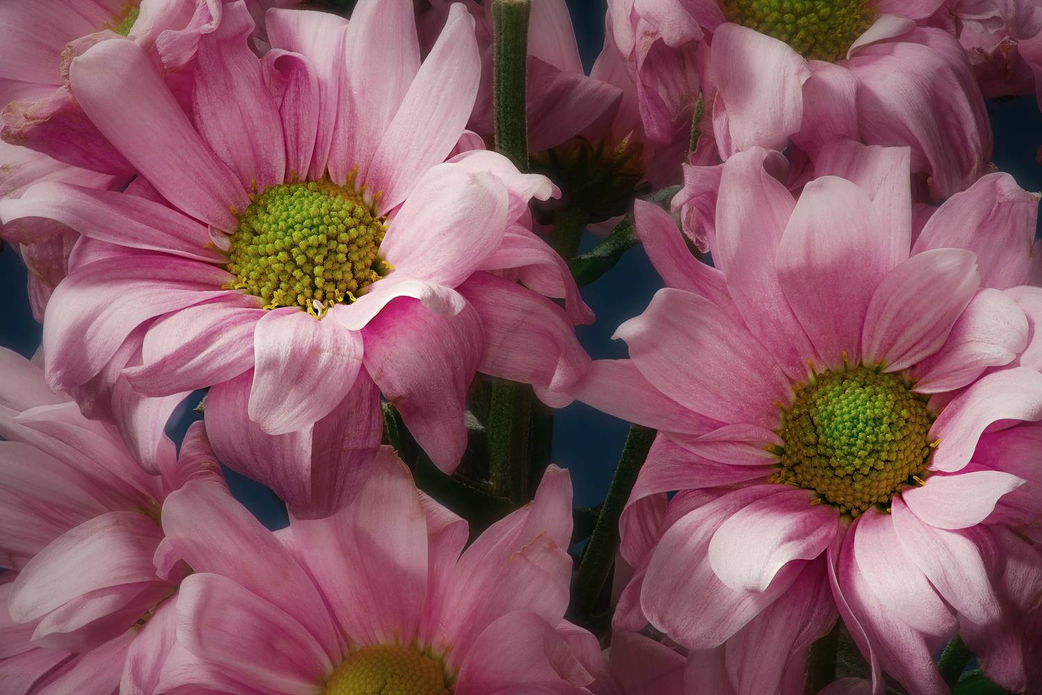 , Маркин Алексей