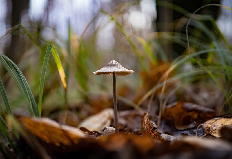 природа  фото превью