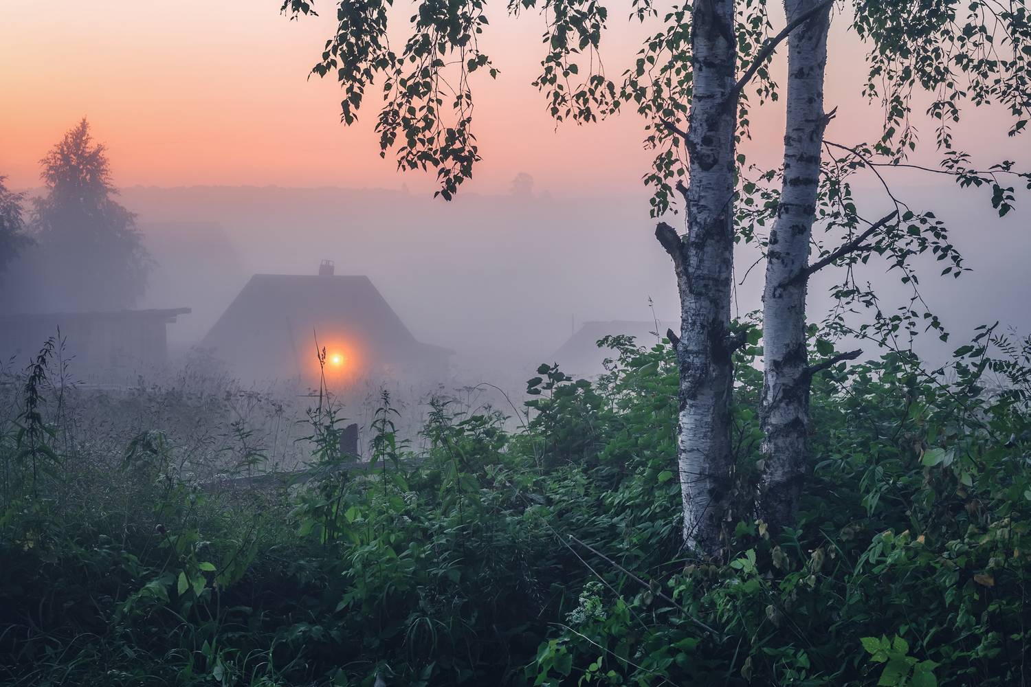 Турчасово, Евдокимов Максим