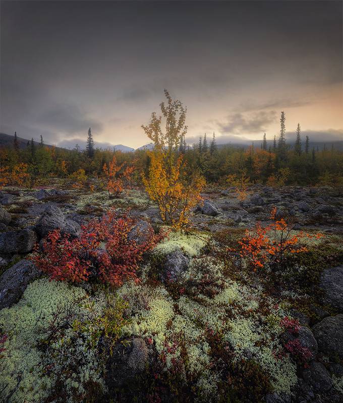 Заполярье, Мурманская область, Кольский полуостров, Хибины, пейзаж, фото России, природа России, пейзажи России, Александр Бархатов