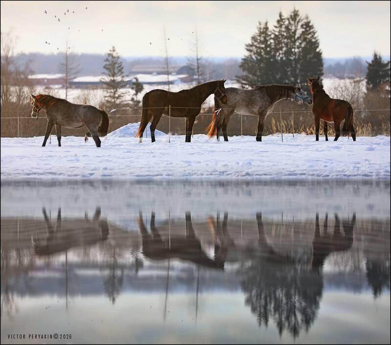 Конец зимы фото превью