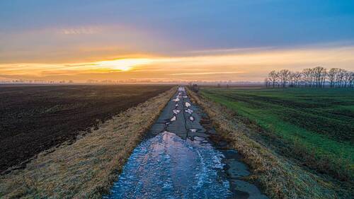 Озимые поля Алтая в ожидании первого снега.