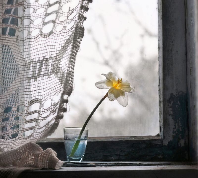 натюрморт, весна, нарцисс, окно, настроение, still life, spring, window, old house, sunny flower, cold weather Похолодало  фото превью