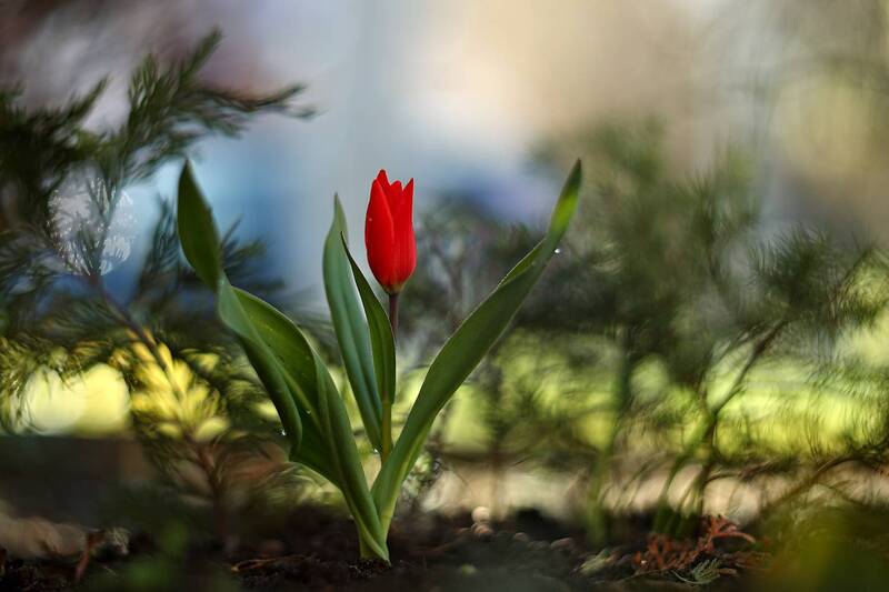 ***** фото превью