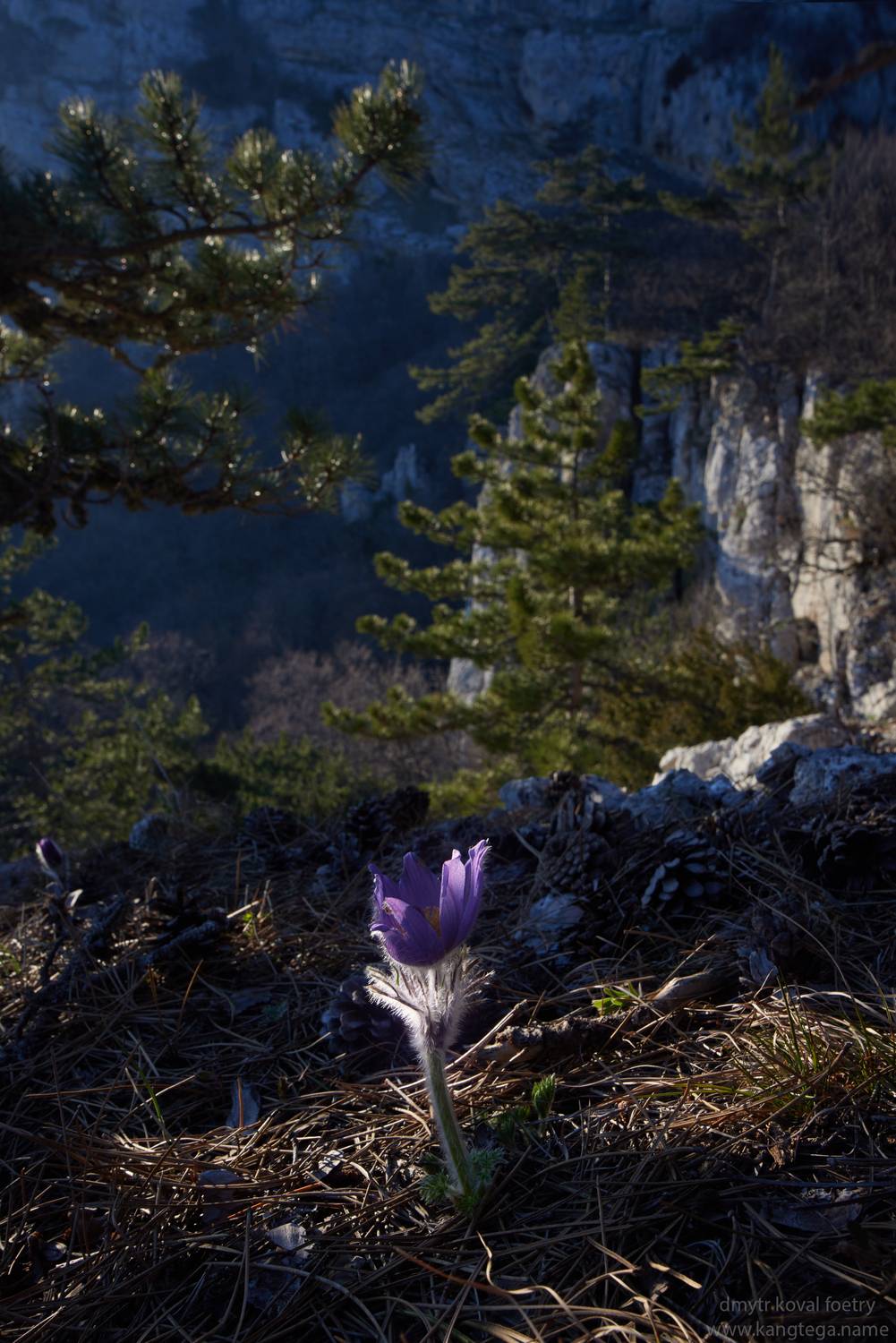 пейзажемагье, ..., Коваль Дмитр