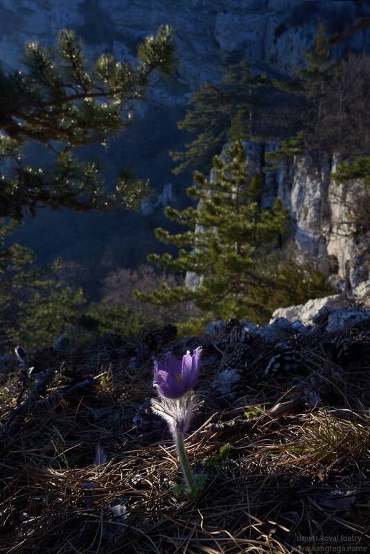 пейзажемагье, ... Пейзаж одного сна … фото превью