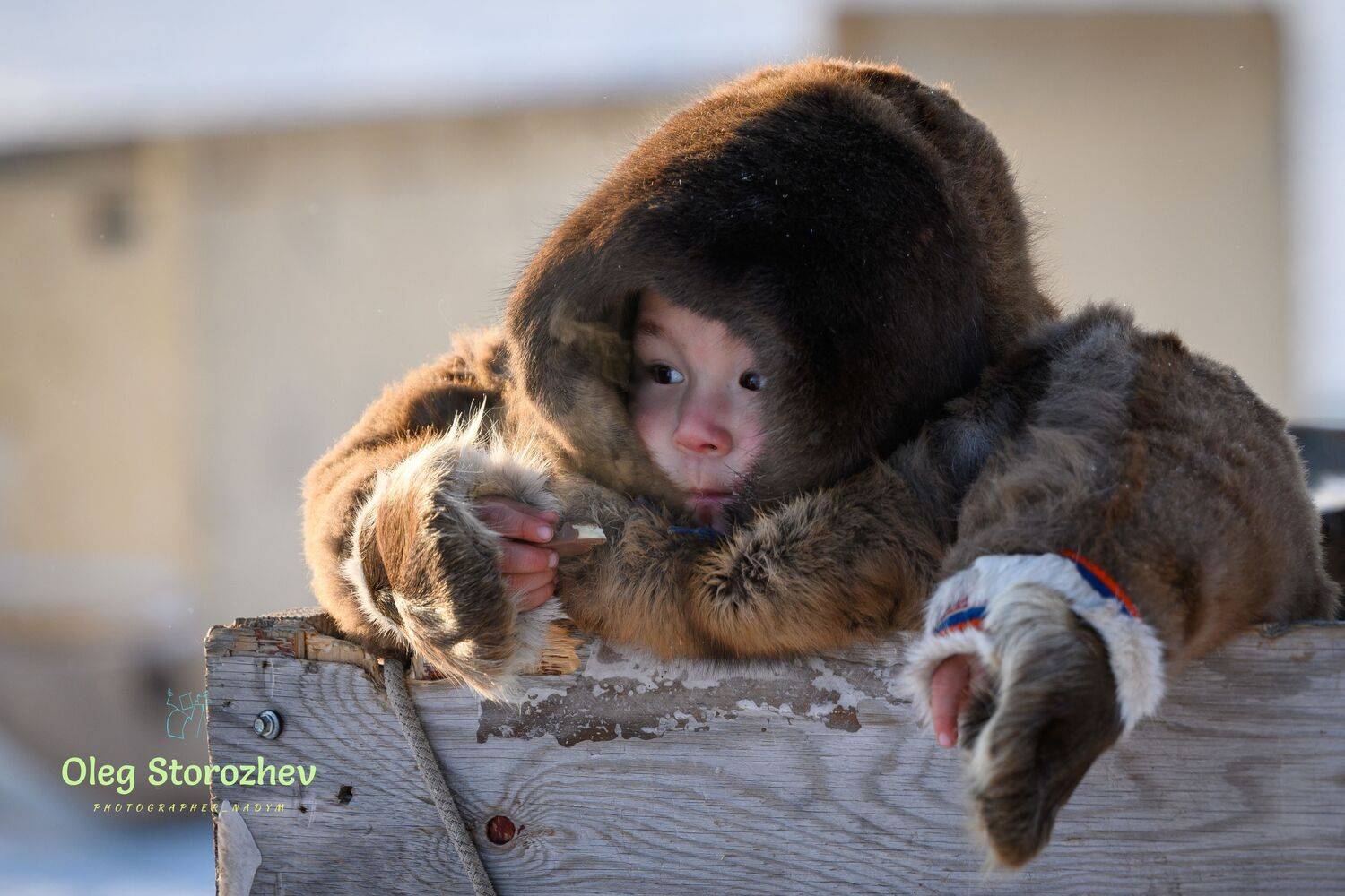 ненец, ребенок, тундра, ямал, надым, Сторожев Олег