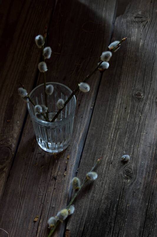 верба Верба фото превью