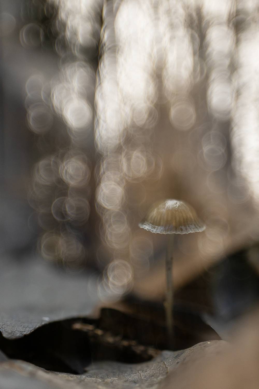 , Кузнецов Дмитрий