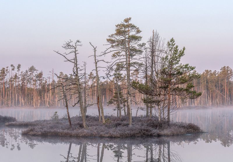 Весенее утро фото превью