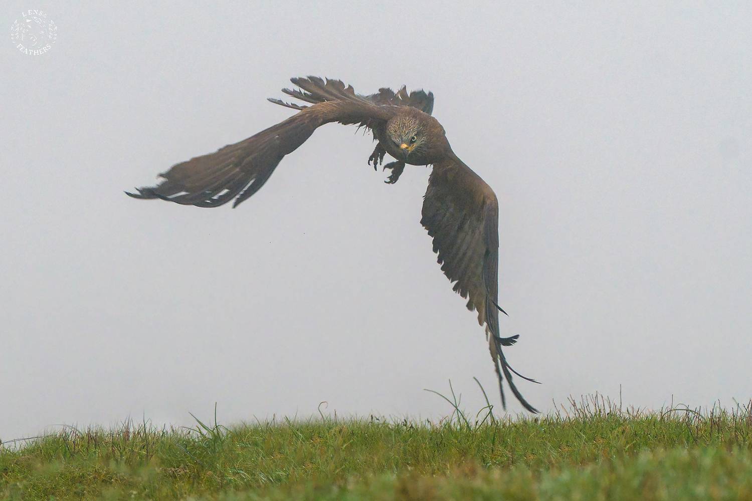 , Евгени Стефанов