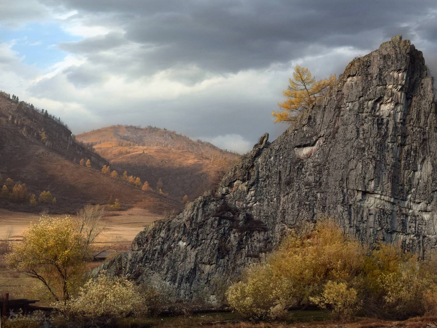 , Крат Светлана