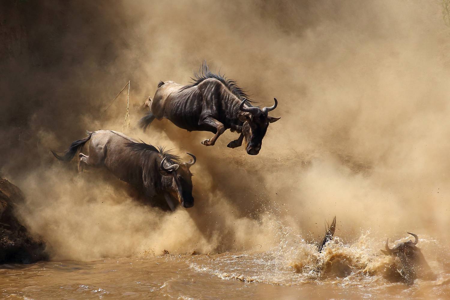 , Гудков Андрей