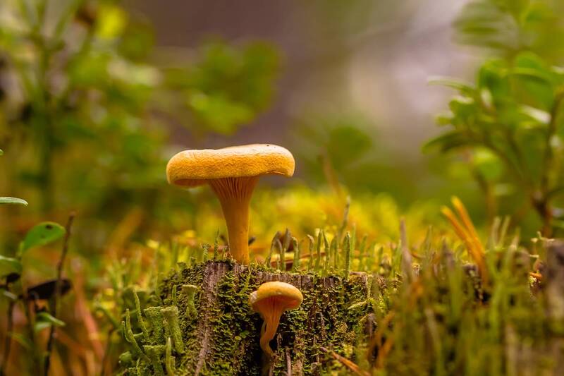 .... фото превью