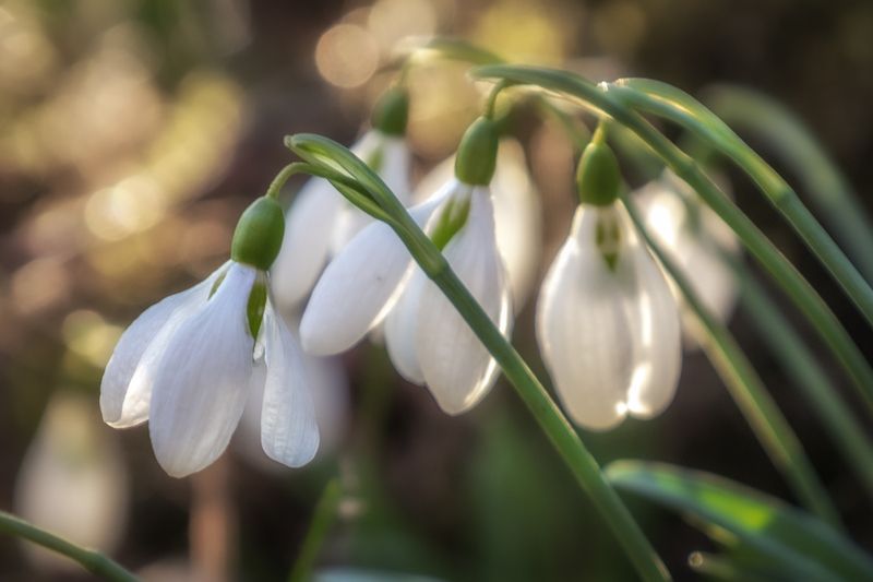 Крым  фото превью