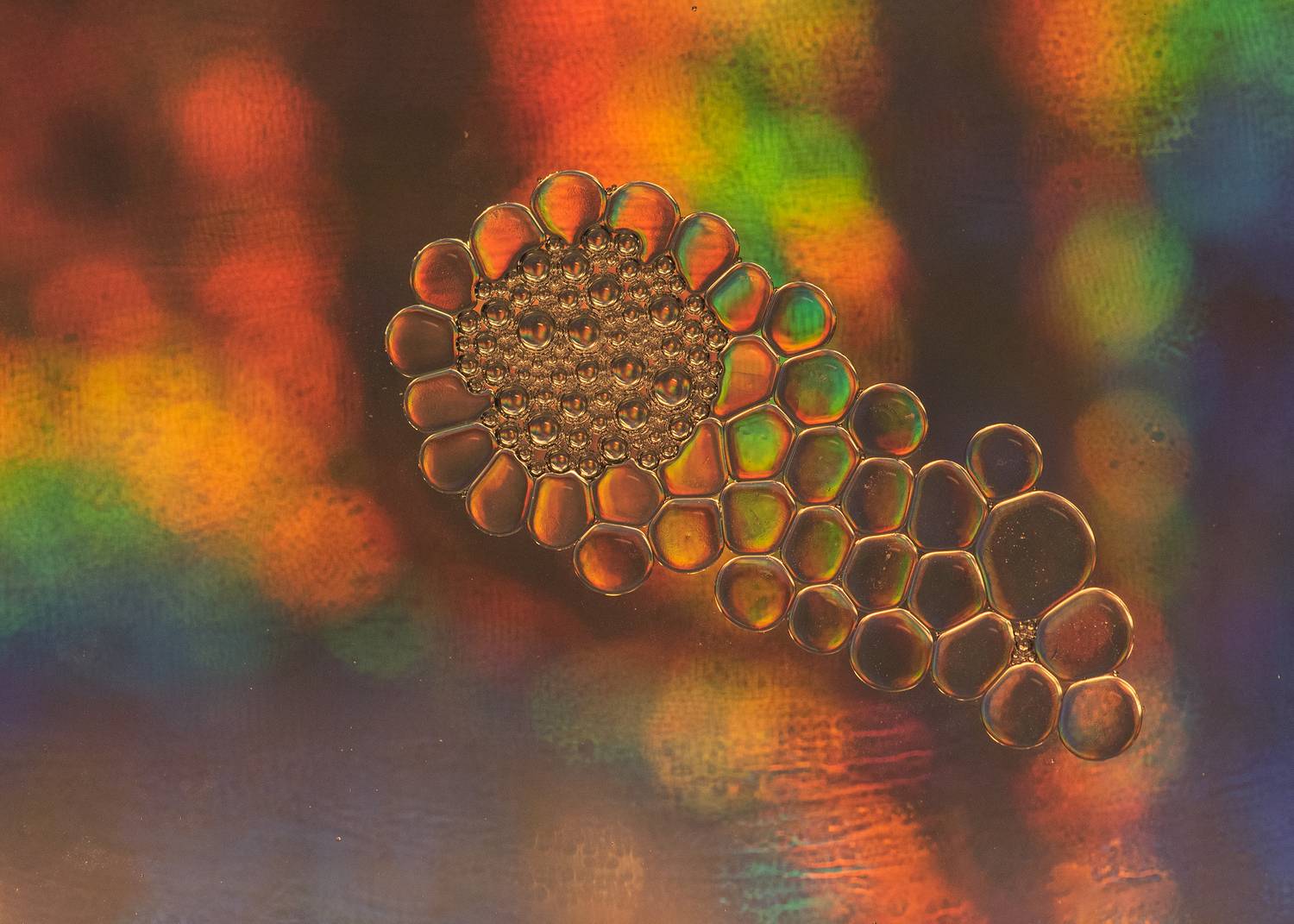 abstract, closeup, macro, waterdrop, gems, Yağcı Mustafa