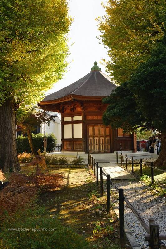 Загадочный храм фото превью