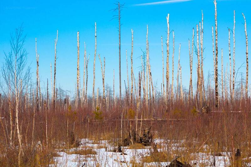 Весеннее фото превью