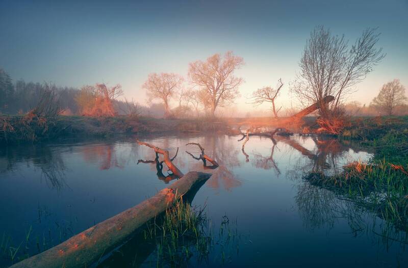 «Луч солнца золотого...»© фото превью