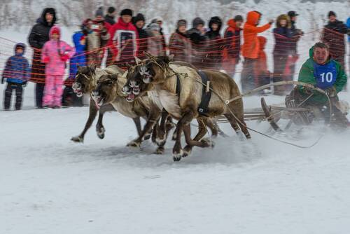Увезу тебя я в тундру
