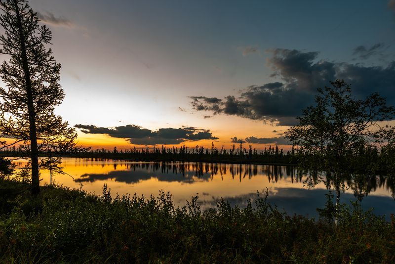 тундра, закат, озеро, отражение, крайний север, небо, надымский район, ямал, янао Золото заката фото превью