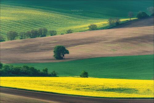 Радужная Моравия