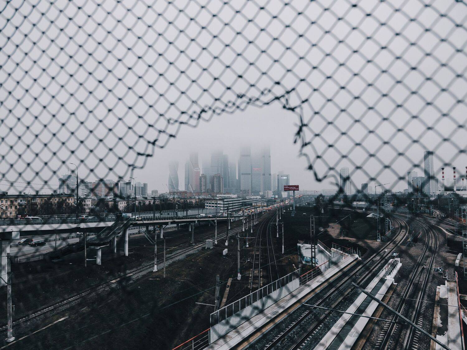 , Трепольский Дмитрий